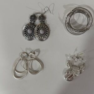 Elegant Silver and Gray Earrings